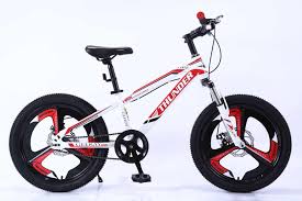 Mach City iBike Single Speed